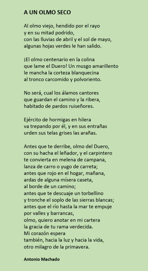 Vejez con hojas verdes, según Antonio Machado | Fernando Vásquez Rodríguez